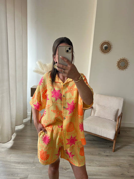 Ensemble PAOLA