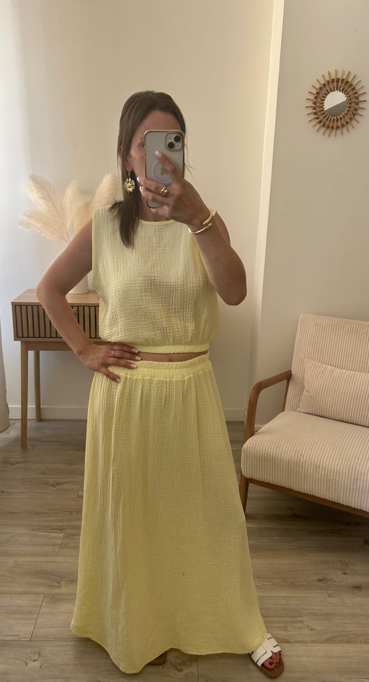 Ensemble ALMA